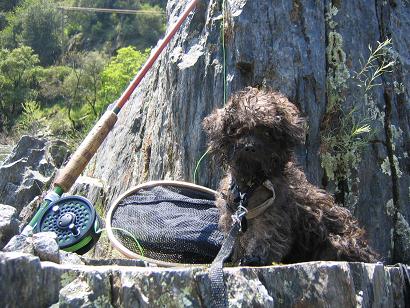 Pepper at 3 months, fishing