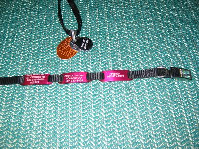 collar sliding tags vs. pendant tags