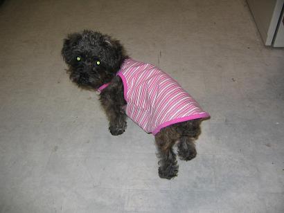 Pepper in gown at 6 months